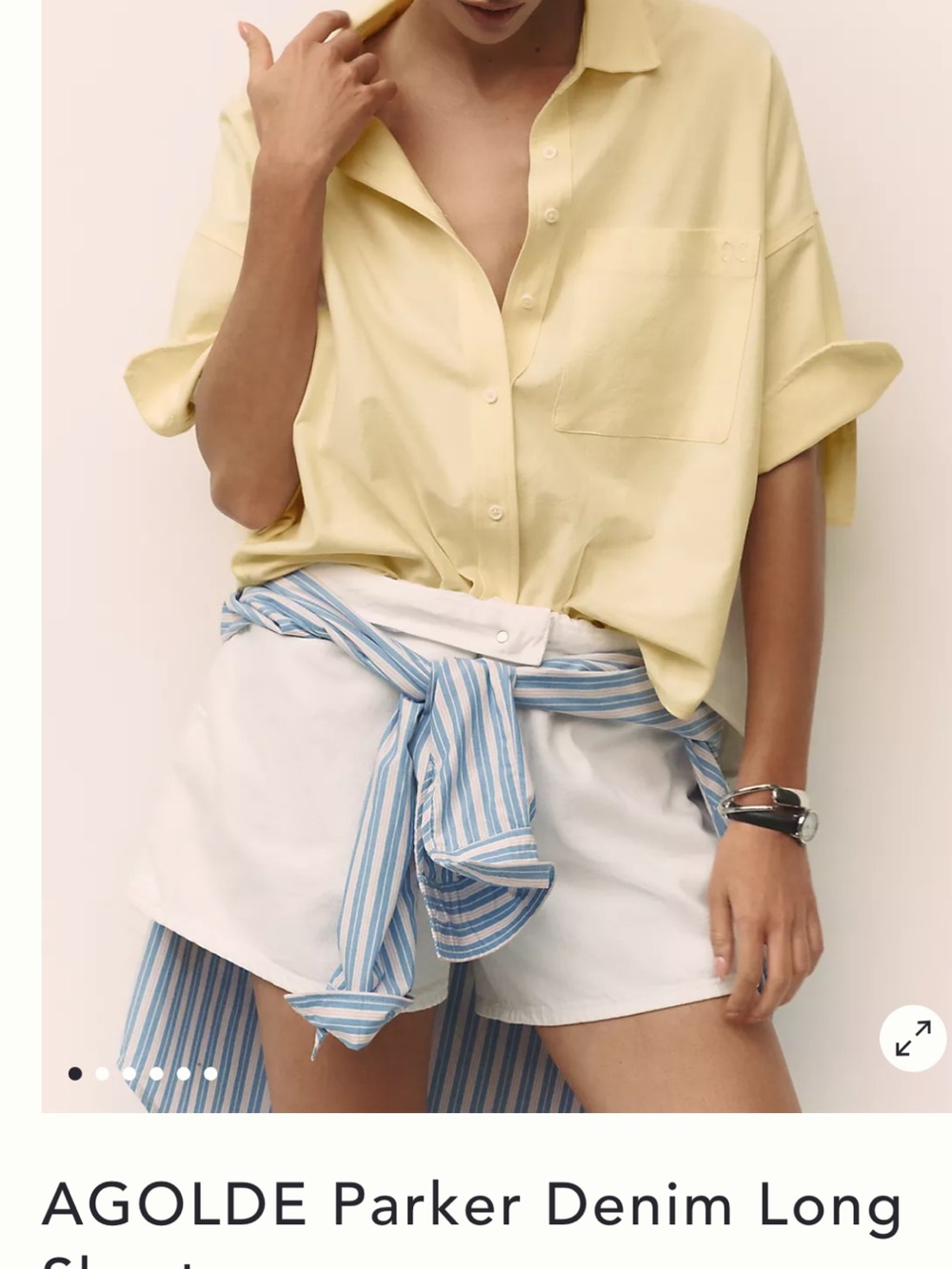NWT🌷Agolde Parker Denim Long Shorts
